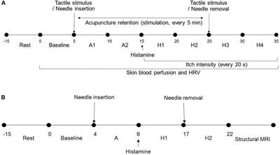 Acupuncture for Histamine-Induced Itch: Association With Increased Parasympathetic Tone and Connectivity of Putamen-Midcingulate Cortex